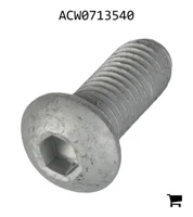 AGCO ACW0713540 Винт с полукруглой головкой