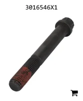 AGCO 3016546X1 Винт с 12-гранной головкой с фланцем