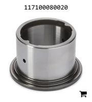 AGCO 117100080020 Игольчатый подшипник, внутреннее кольцо