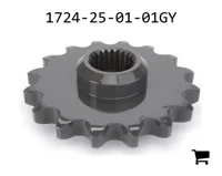 AGCO 1724-25-01-01GY Звездочка