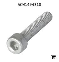 AGCO ACW1494310 Установочный винт с шестигранной головкой