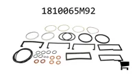AGCO 1810065M92 Комплект уплотнений