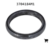 AGCO 3704184M1 Прокладка