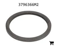 AGCO 3796366M2 Шайба