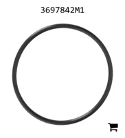 AGCO 3697842M1 Уплотнительное кольцо