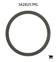 AGCO 3428257M1 Шайба