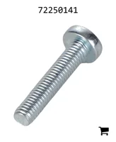 AGCO 72250141 Винт