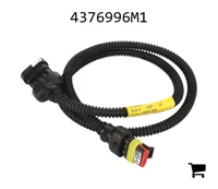 AGCO 4376996M1 Жгут