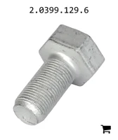 AGCO 2.0399.129.6 Винт
