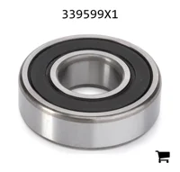 AGCO 339599X1 Шариковый подшипник