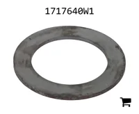 AGCO 1717640W1 Шайба
