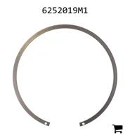 AGCO 6252019M1 Стопорное кольцо