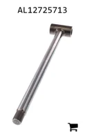 AGCO AL12725713 Поршневой шток