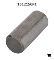 AGCO 1612150M1 Штифт