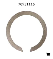 AGCO 70931116 Кольцо