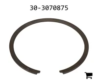 AGCO 30-3070875 Кольцо