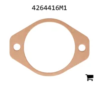 AGCO 4264416M1 Прокладка насоса