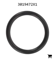 AGCO 3019472X1 Уплотнительное кольцо