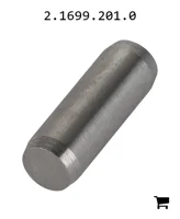 AGCO 2.1699.201.0 Палец