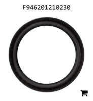 AGCO F946201210230 Сальник