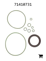 AGCO 71410731 Комплект уплотнений