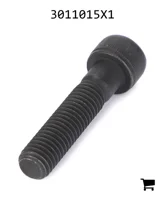 AGCO 3011015X1 Винт с внутренним шестигранником