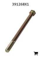 AGCO 391268X1 Болт с шестигранной головкой