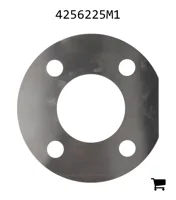 AGCO 4256225M1 Шайба