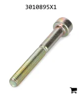 AGCO 3010895X1 Винт с цилиндрической головкой и шестигранным углублением