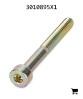 AGCO 3010895X1 Винт с цилиндрической головкой и шестигранным углублением
