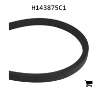 AGCO H143875C1 Ремень