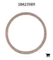 AGCO 10A23989 Прокладка