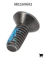 AGCO 3011696X1 Болт с потайной головкой и шестигранным углублением