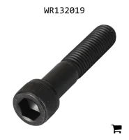 AGCO WR132019 Винт