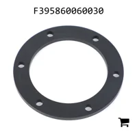 AGCO F395860060030 Уплотнительная шайба масляного бака