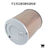 AGCO F135203092010 Масляный фильтр двигателя