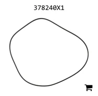 AGCO 378240X1 Уплотнительное кольцо