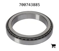 AGCO 700743885 Роликовый подшипник