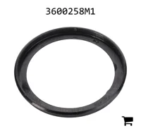 AGCO 3600258M1 Прокладка