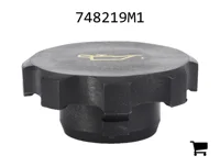 AGCO 748219M1 Крышка