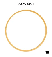 AGCO 70253453 Кольцо