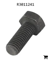 AGCO R3011241 Винт