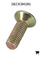 AGCO 2823C04201 Винт