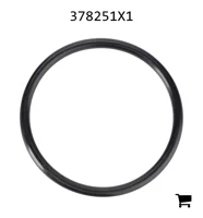 AGCO 378251X1 Уплотнительное кольцо гидравлического насоса, Ø 36,17 X 2,62 mm