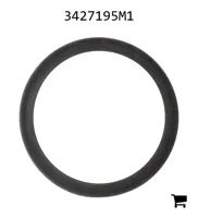 AGCO 3427195M1 Шайба