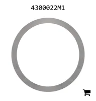 AGCO 4300022M1 Регулировочная шайба