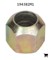 AGCO 194382M1 Гайка