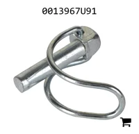 AGCO 0013967U91 Палец