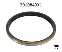 AGCO 3010843X1 Уплотнительное кольцо скребка