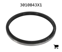 AGCO 3010843X1 Уплотнительное кольцо скребка